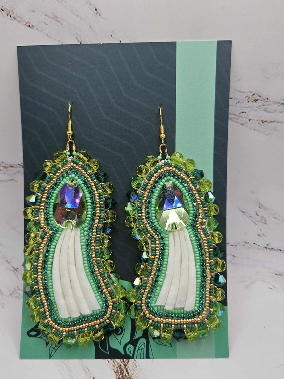 Dentalium Statement 002